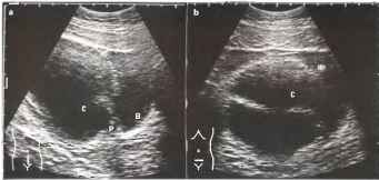 : http://euromedcompany.ru/images/articles/book12/img116.jpg